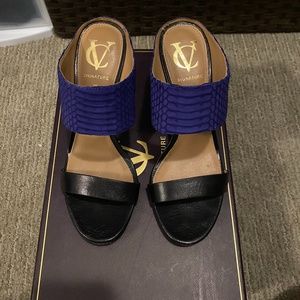 Black and Blue Mule Heels